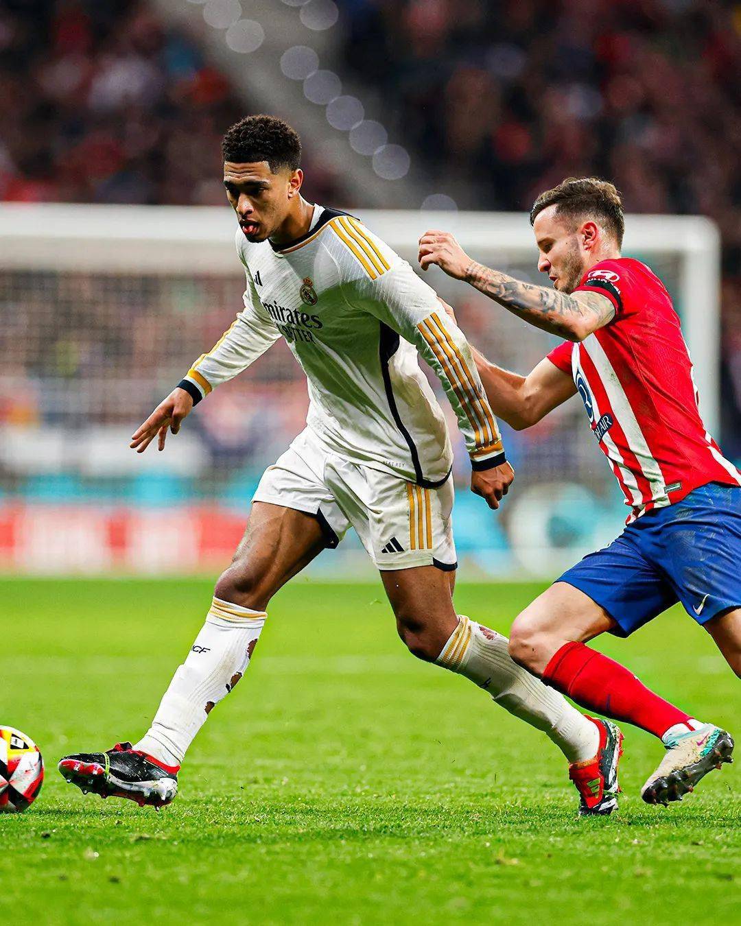 今晨洛杉矶快船遗憾出局——国王杯节点到来，震撼外界，赛季目标并未改变(17赛季国王杯射手榜)