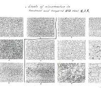 ??朰;t?ｌ?剱抒?ω蝴0Mqr鞩狀榞+!鍸?6<